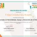 Acercar imagen: certificate 3