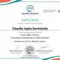 Acercar imagen: certificate 1