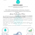 Acercar imagen: certificate 7