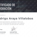 Acercar imagen: certificate 7