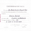 Acercar imagen: certificate 3