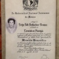 Acercar imagen: certificate 2
