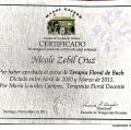 Acercar imagen: certificate 11
