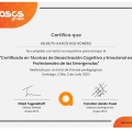 Acercar imagen: certificate 4