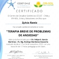 Acercar imagen: certificate 5