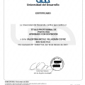 Acercar imagen: certificate 5
