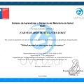 Acercar imagen: certificate 7