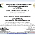 Acercar imagen: certificate 9