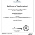 Acercar imagen: certificate 1