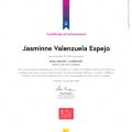 Acercar imagen: certificate 1
