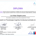 Acercar imagen: certificate 5