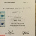 Acercar imagen: certificate 5
