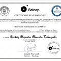 Acercar imagen: certificate 1