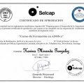 Acercar imagen: certificate 4