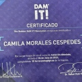 Acercar imagen: certificate 2
