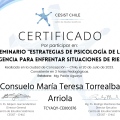 Acercar imagen: certificate 55