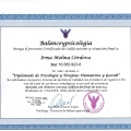 Acercar imagen: certificate 4