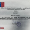 Acercar imagen: certificate 20