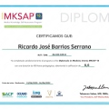 Acercar imagen: certificate 9
