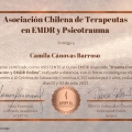 Acercar imagen: certificate 8