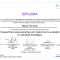 Acercar imagen: certificate 3