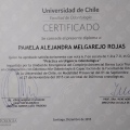 Acercar imagen: certificate 5