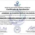 Acercar imagen: certificate 3