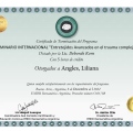 Acercar imagen: certificate 1