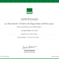 Acercar imagen: certificate 41
