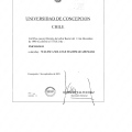 Acercar imagen: certificate 4