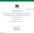 Acercar imagen: certificate 36