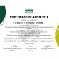 Acercar imagen: certificate 27