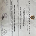 Acercar imagen: certificate 1