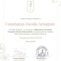 Acercar imagen: certificate 3