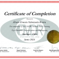 Acercar imagen: certificate 3