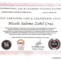 Acercar imagen: certificate 6