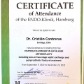 Acercar imagen: certificate 1