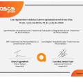 Acercar imagen: certificate 17