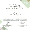 Acercar imagen: certificate 8