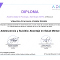 Acercar imagen: certificate 9