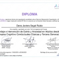 Acercar imagen: certificate 9