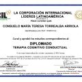 Acercar imagen: certificate 28