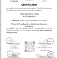 Acercar imagen: certificate 1