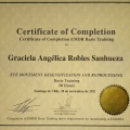 Acercar imagen: certificate 5