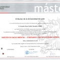 Acercar imagen: certificate 2