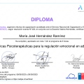 Acercar imagen: certificate 5