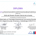 Acercar imagen: certificate 4