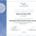 Acercar imagen: certificate 2