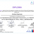 Acercar imagen: certificate 13