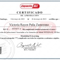 Acercar imagen: certificate 5